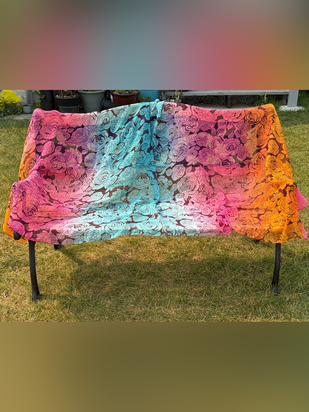 3/$30✨ Gorgeous Sheer Scarf/Wrap in Pink, Blue & Orange